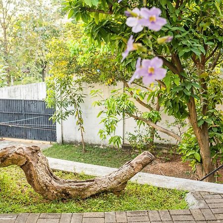 Battaramulla Boutique Villa スリ・ジャヤワルダナプラ・コッテ エクステリア 写真