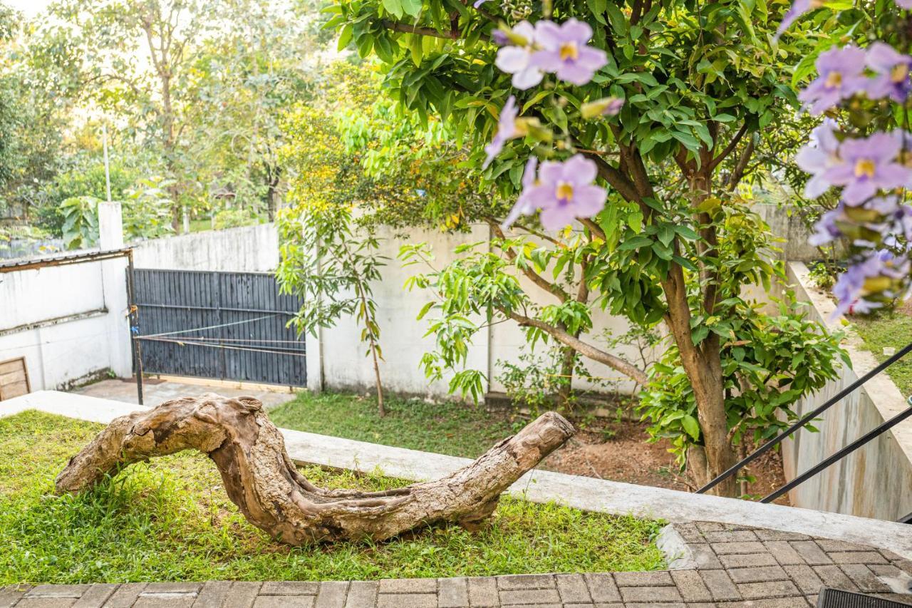 Battaramulla Boutique Villa スリ・ジャヤワルダナプラ・コッテ エクステリア 写真